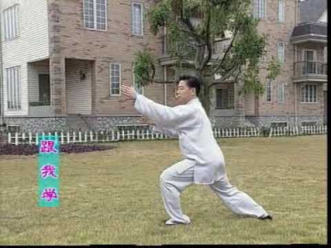 Видео: 6-9 формы медленно со спины из Тайцзи 24 формы. Tai Chi The 24 Forms (6-9). Slow Back View. 2.3/4.