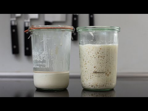 Видео: Можно ли печь с недоеденной закваской прямо из холодильника? | Foodgeek