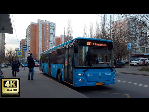 Видео: 800 маршрут автобуса. 11.11.2020 год. Москва.
