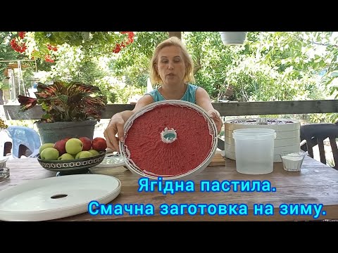 Видео: Ягідна ПАСТИЛА🍒🫐🍓Смачна і корисна#натуральніцукерки#ягіднапастила#пастила#домашняпастила#сушка
