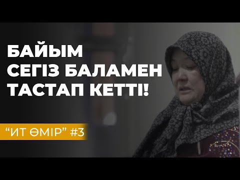 Видео: БАЙЫМ СЕГІЗ БАЛАМЕН ТАСТАП КЕТТІ! | ИТ ӨМІР #3