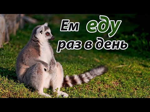 Видео: Небольшой опыт питания один раз в день