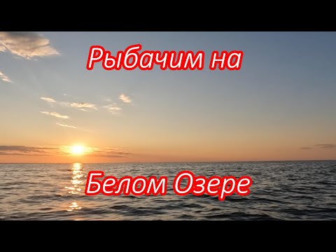 Видео: Поехали порыбачить на Белое озеро