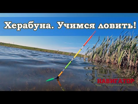 Видео: Ловля карася на херабуну. Оснастка, техника ловли, монтаж японской поплавочной удочки