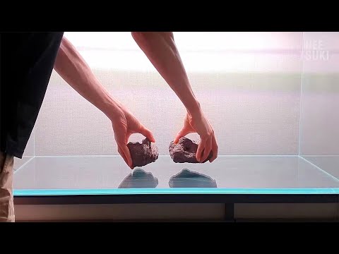 Видео: Мужчина построил потрясающий натуральный аквариум у себя дома [Процесс строительства] Костер