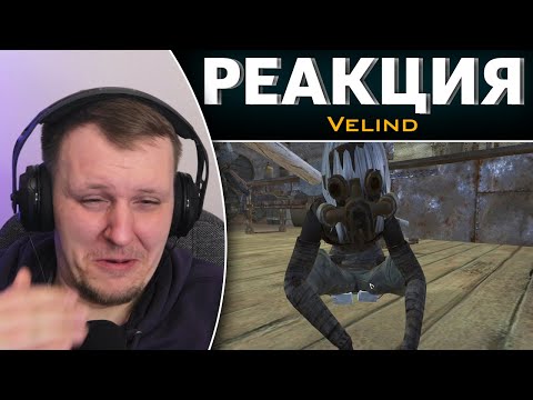 Видео: История одного картеля | Реакция на Velind