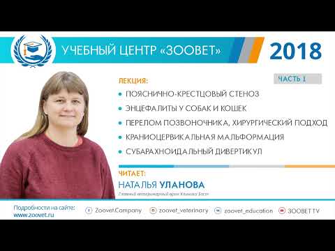 Видео: Наталья УЛАНОВА  в УЦ «Зоовет» | ч. 1