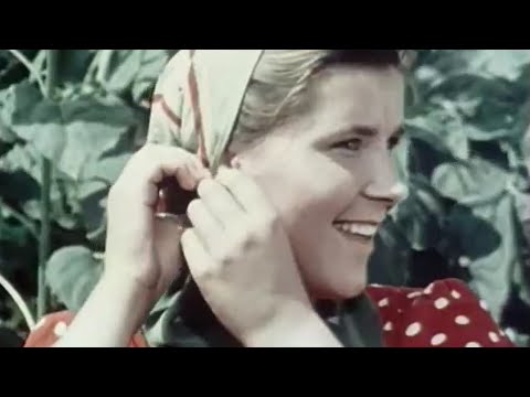 Видео: Стихотворение Михаила Исаковского, ставшее красивой песней. Провожание