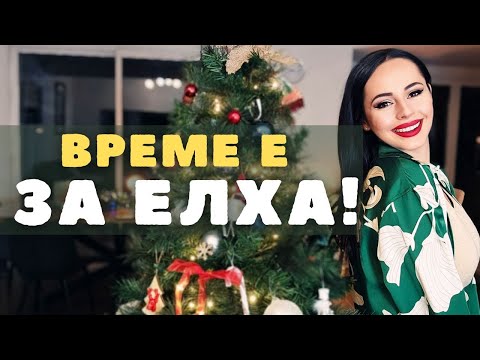 Видео: Блокирани от снега! Как прекарахме деня и се подготвихме за Коледа!