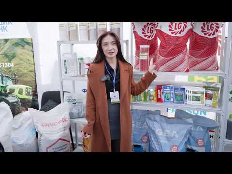 Видео: Жүгөрү, беде үрөндөрү, жер семирткичтер, дары-дармектин баарын "Бай Дыйкандан" табасыз