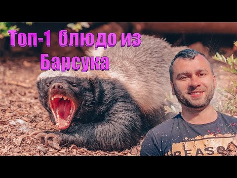 Видео: Хитрый Барсук доигрался. Топ-1  блюдо из Барсука