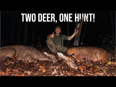 Видео: 2 оленя за одну охоту с рекурсивным луком! Традиционная охота с луком в Вирджинии.