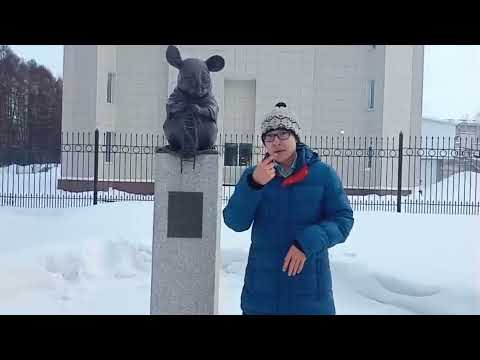 Видео: Новосибирск, Академгородок.