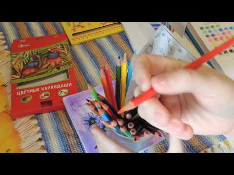 Видео: СТОИТ ЛИ ПОКУПАТЬ ДЛЯ  РАСКРАСОК ДЕШЕВЫЕ КАРАНДАШИ МУЛЬТИ-ПУЛЬТИ, КАЛЯКА-МАЛЯКА, №1 ШКОЛЬНЫЕ