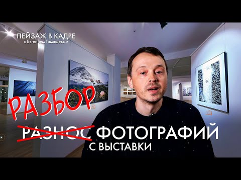 Видео: Какие снимки попадают на выставку? | Разбор фотографий профи | Как собрать СИЛЬНУЮ серию?