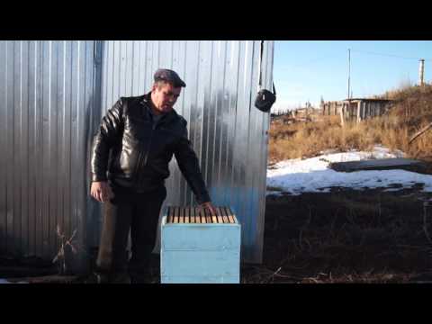 Видео: Оптимальный обьём гнезда для работы матки .