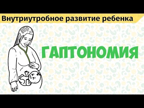 Видео: Внутриутробное развитие ребенка