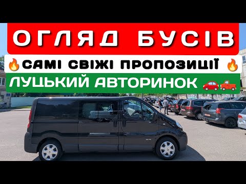Видео: 🔥 ОГЛЯД СВІЖИХ ПРОПОЗИЦІЙ 🔥 БУСИ НА ЛУЦЬКОМУ АВТОРИНКУ ‼️ ПАСАЖИРИ ТА ПІД КОМЕРЦІЮ ‼️