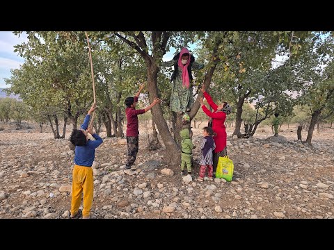 Видео: «Наргес и легенда: семья, собирающая желуди в горах🍂💪»
