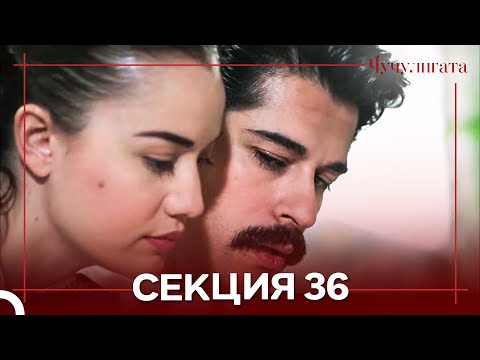 Видео: Чучулигата Cekция 36 (Дублирано на български)