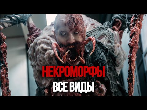 Видео: НЕКРОМОРФЫ [КРИПОВАЯ ХРЕНАТЕНЬ]