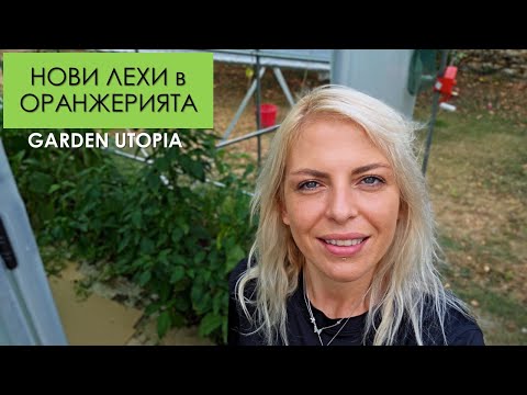 Видео: #Ден 13 от 90 ДНИ НА СЕЛО: Повдигнати лехи, домати, патладжани