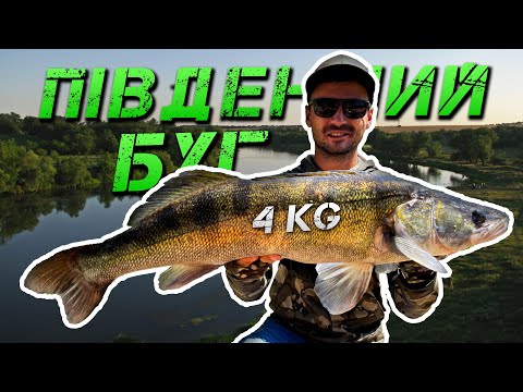 Видео: ✅ТРОФЕЙНИЙ СУДАК В ЦЕНТРІ ВІННИЦІ | ПІВДЕННИЙ БУГ✅