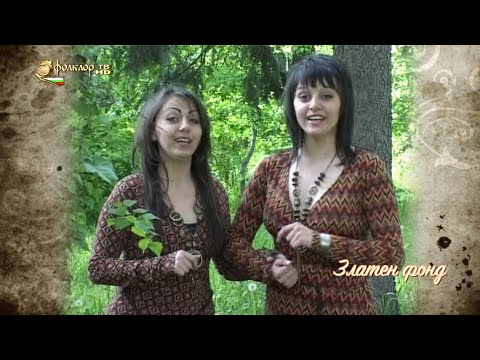 Видео: Избрани песни от фонда на Фолклор ТВ