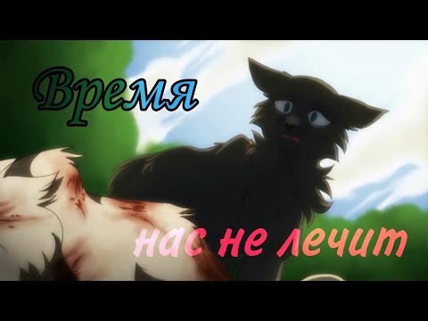 Видео: 〖 Warrior Cats 〗『 Время нас не лечит 』| Кира Стертман