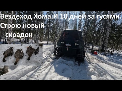 Видео: Вездеход Хома. Еду на 10 дней за гусями. Строю новый скрадок