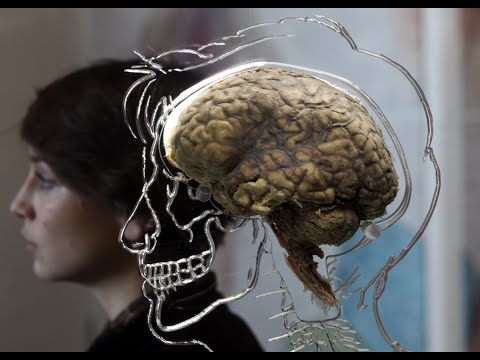 Видео: Как и куда проникает материнский гипноз Психолог Марина Линдхолм