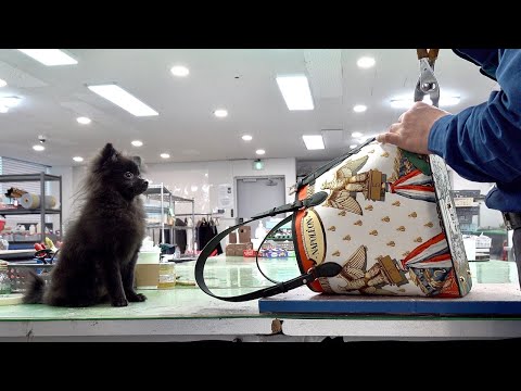 Видео: Превращение шарфа Hermes в собачью сумку. Фабрика роскошных сумок ручной работы