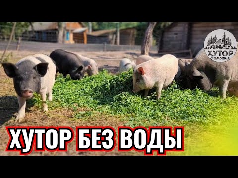 Видео: ХУТОР ПРЕДКОВ БЕЗ ВОДЫ, БЕЗ ДОРОГ И БЕЗ НОРМАЛЬНОГО ЭЛЕКТРИЧЕСТВА ПРОДОЛЖАЕТ ЖИТЬ.