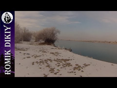 Видео: Охота на зайца. Левый берег р.Или. О/х "Сункар" (17-18 декабря 2017г)