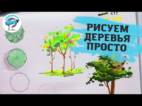 Видео: УРОК РИСОВАНИЯ ДЕРЕВЬЕВ МАРКЕРАМИ | Учимся рисовать маркерами с Оскаром Котиковым