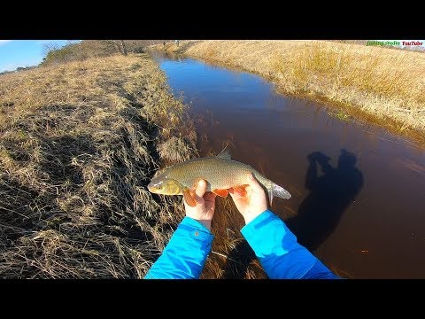 Видео: Рыбалка на Saaremaa-Kuke,Viira