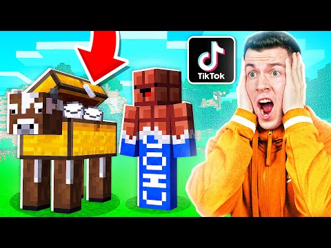 Видео: 4 РАБОЧИХ ЛАЙФХАКА, КОТОРЫЕ УПРОСТЯТ ТВОЮ ИГРУ! ПРОВЕРКА ЛАЙФХАКОВ ИЗ ТИК ТОК В MINECRAFT