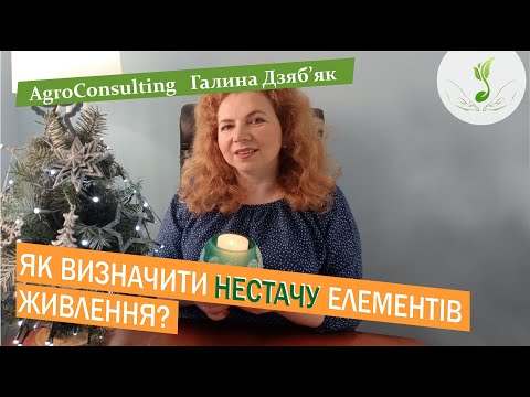 Видео: Візуальний метод. Ознаки нестачі елементів