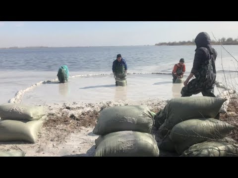 Видео: Молочные берега Темиртау...