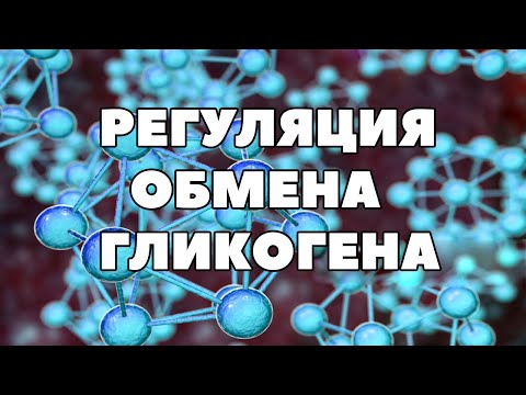 Видео: Биохимия.Регуляция обмена ГЛИКОГЕНА.