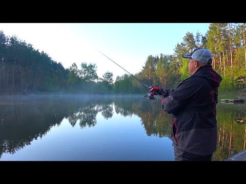 Видео: Щука на лесном озере! У зубастой начался посленерестовый ЖОР!