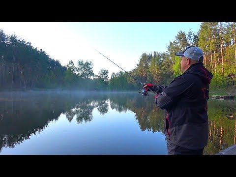 Видео: Щука на лесном озере! У зубастой начался посленерестовый ЖОР!