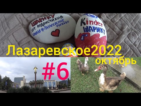 Видео: Эконом-отдых на море в октябре/ могилка Шарика/ Дивное озеро/ закат