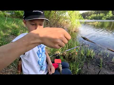 Видео: Самый вкусный размер карася🙂