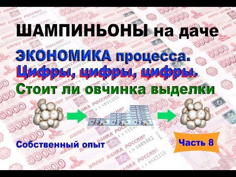 Видео: Шампиньоны на даче. Часть 8. $$$ Экономика процесса $$$