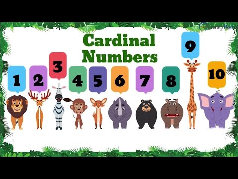 Видео: The Numeral. Cardinal numbers. Сан есім. Есептік сан есімдер.