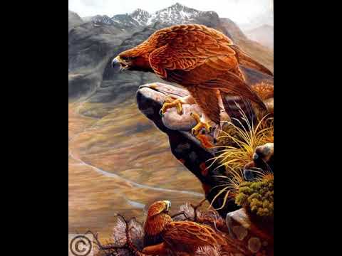 Видео: # если ваш тотем -Орел#