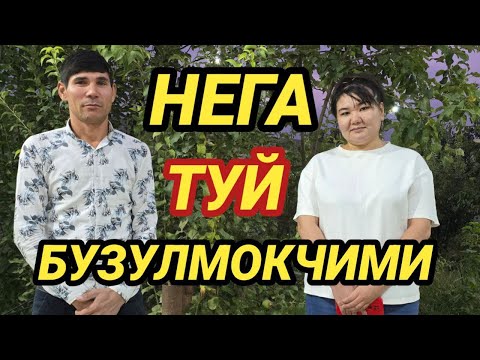 Видео: НЕГА ТУЙ БУЗИЛИЯПДИМИ