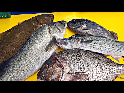 Видео: Сашими из 5 видов рыбы