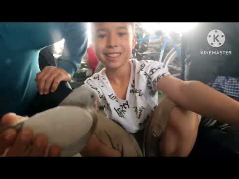 Видео: Ринок г Душанбе Рудаки Ленинский район падписатся барои пеш рави 13.04.25г